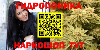 бошки Пугачёв